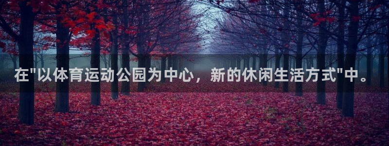 3377体育官方正版app集团：在\