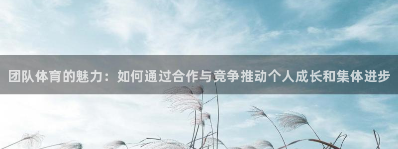 3377体育官方正版app娱乐40996：团队体育的魅力：如