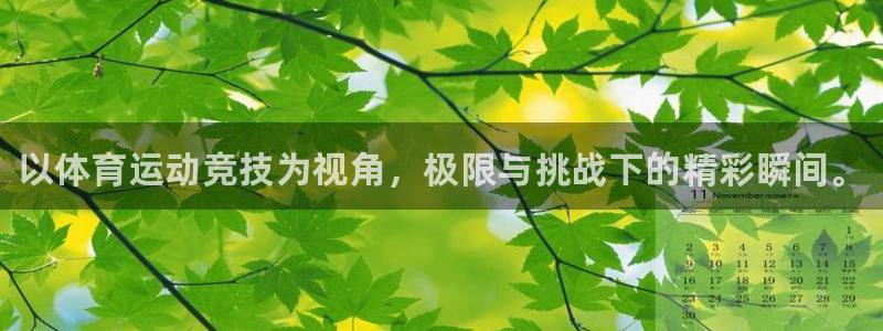 3377体育官方正版app五金厂：以体育运动竞技为视角，极限