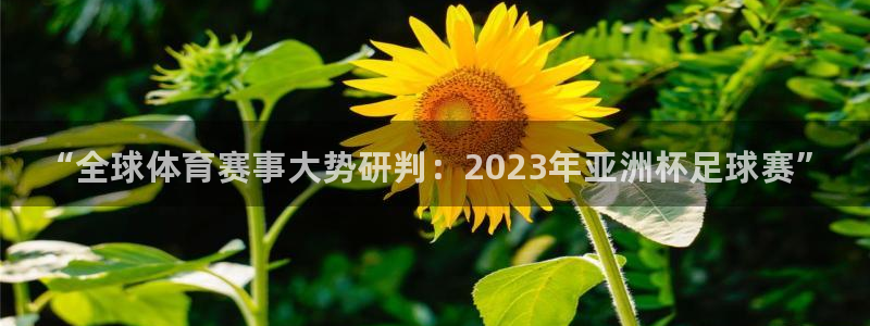 海南3377体育官网下载发展怎么样：“全球体育赛事大