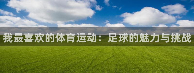 3377体育官方正版app五金厂：我最喜欢的体育运动