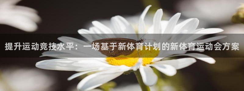 3377体育官网下载联系电话：提升运动竞技水平：一场