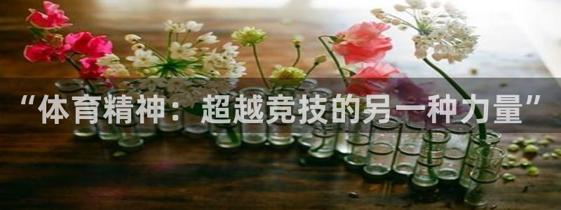 3377体育官网下载招商电话地址：“体育精神：超越竞