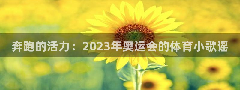 3377体育官方集团官网：奔跑的活力：2023年奥运