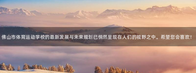 3377体育官方正版app集团logo：佛山市体育运