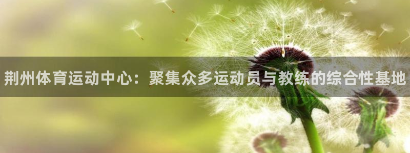 3377体育官网下载娱乐：荆州体育运动中心：聚集众多