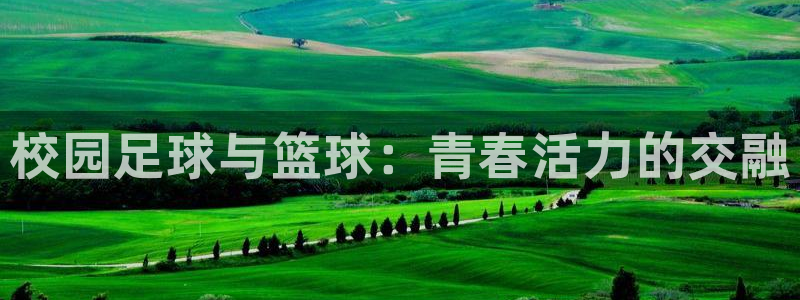3377体育官网下载招商：校园足球与篮球：青春活力的