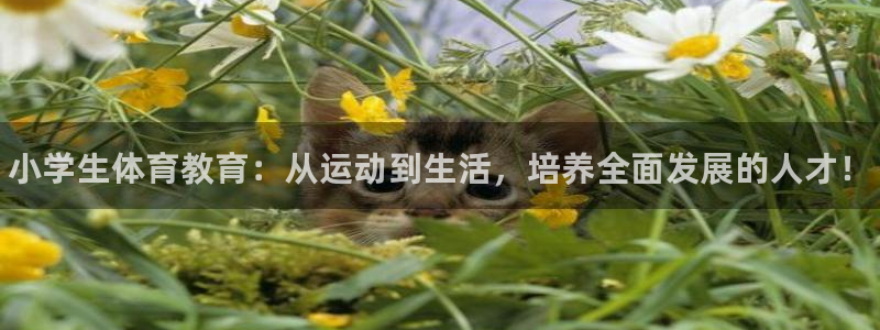 3377体育官网下载招商电话是多少号码