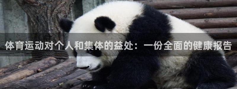 海南3377体育官网下载：体育运动对个人和集体的益处