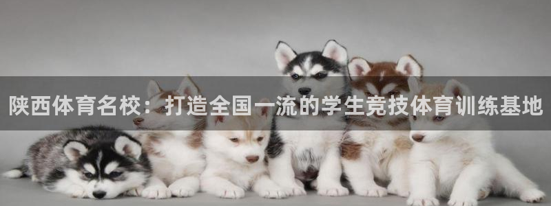3377体育官网下载平台是正规平台吗