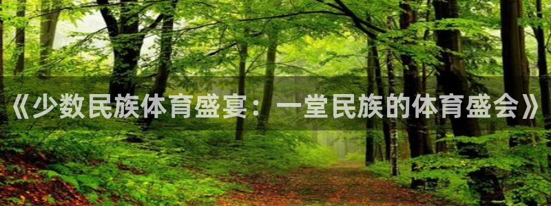 3377体育官方正版app代理：《少数民族体育盛宴：