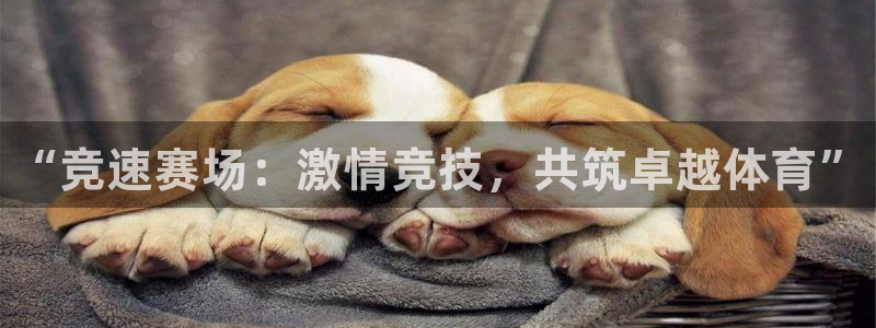 3377体育官方正版app集团官网首页网址