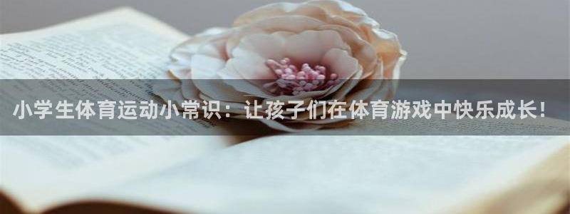 3377体育官方正版app娱乐下载：小学生体育运动小