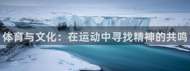 3377体育官方正版app集团：体育与文化：在运动中寻找精神