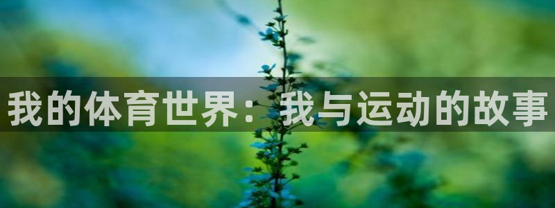 3377体育官网下载招商电话是多少：我的体育世界：我与运动的