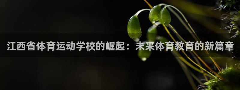 3377体育官网下载平台注册要钱吗是真的吗：江西省体育运动学
