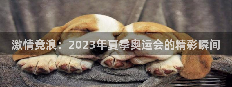 3377体育官方正版app娱乐首页官网下载