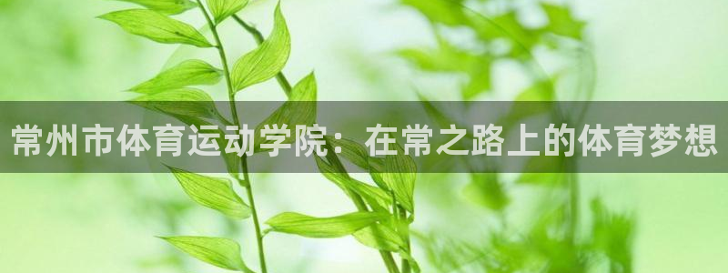 3377体育官方正版app代理