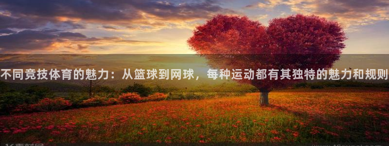 3377体育官方正版app娱乐是那个系列的台子：不同