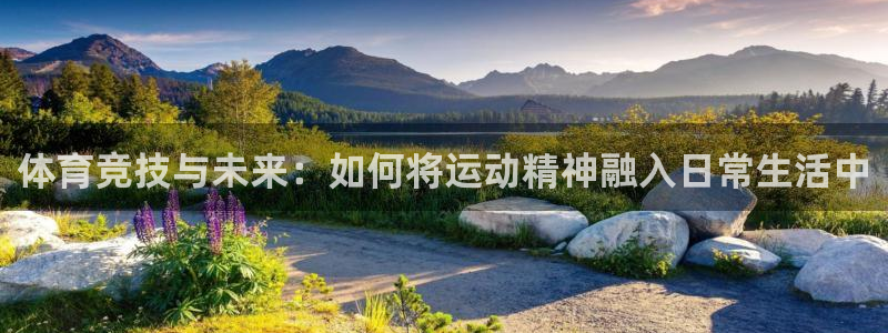 3377体育官网下载：体育竞技与未来：如何将运动精神