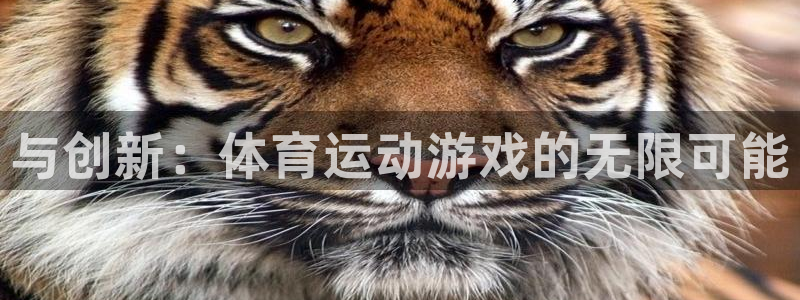 德国3377体育官方正版app集团：与创新：体育运动游戏的无