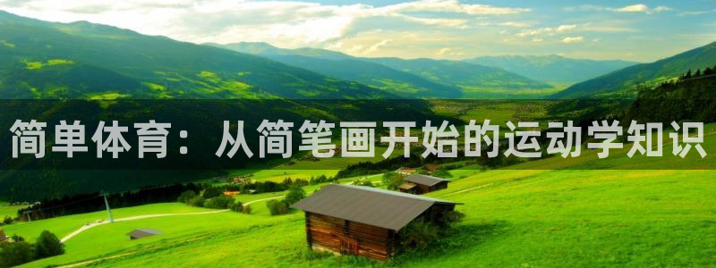 3377体育官方正版app代理：简单体育：从简笔画开始的运动