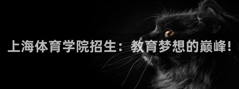 3377体育官网下载娱乐