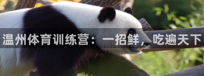 3377体育官方正版app集团官网网址：温州体育训练