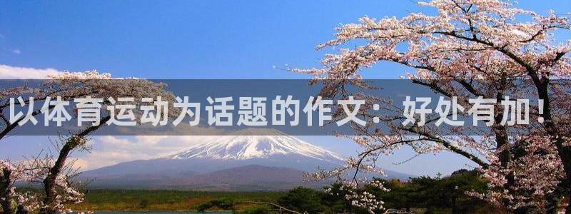 3377体育官方正版app娱乐网站