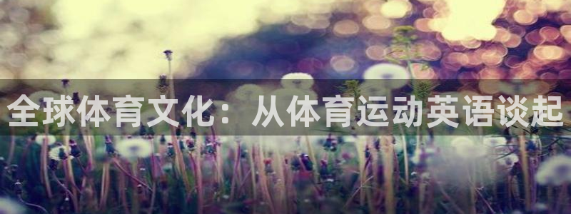 3377体育官网下载平台